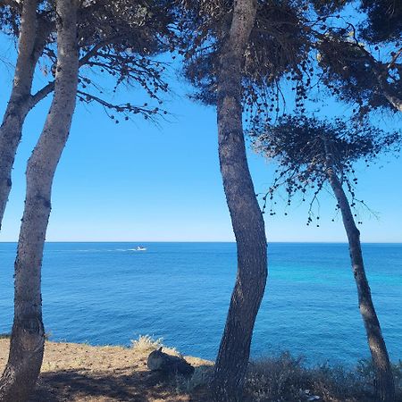 A 50M Du Port De Carry-Cote Bleue公寓 外观 照片